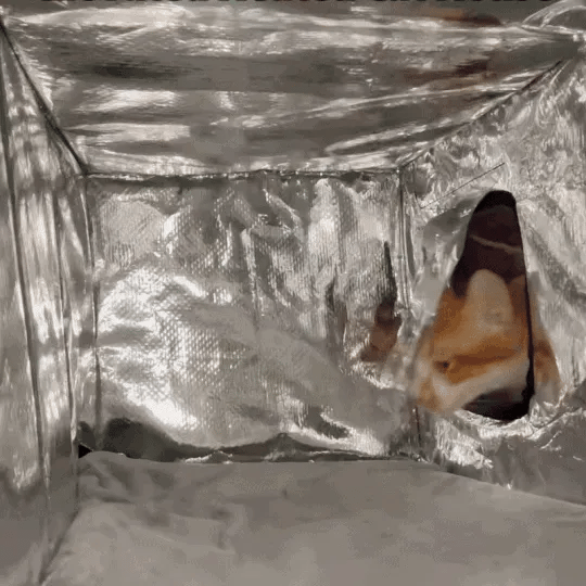 Megabran™ Heated Cat Shelter
